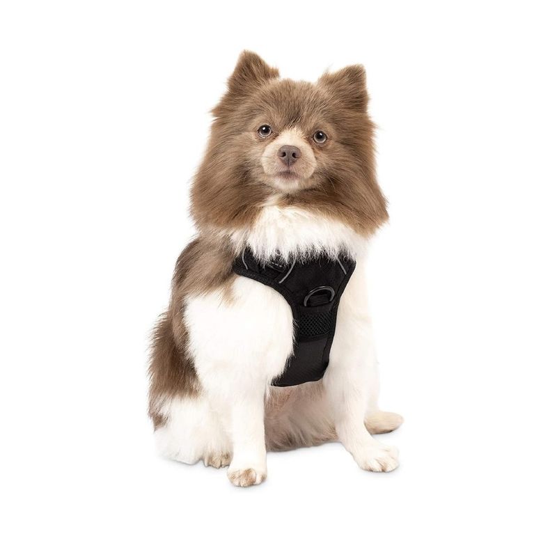 pechera-para-perro-petcrafts-talla-s-negra-847388087366