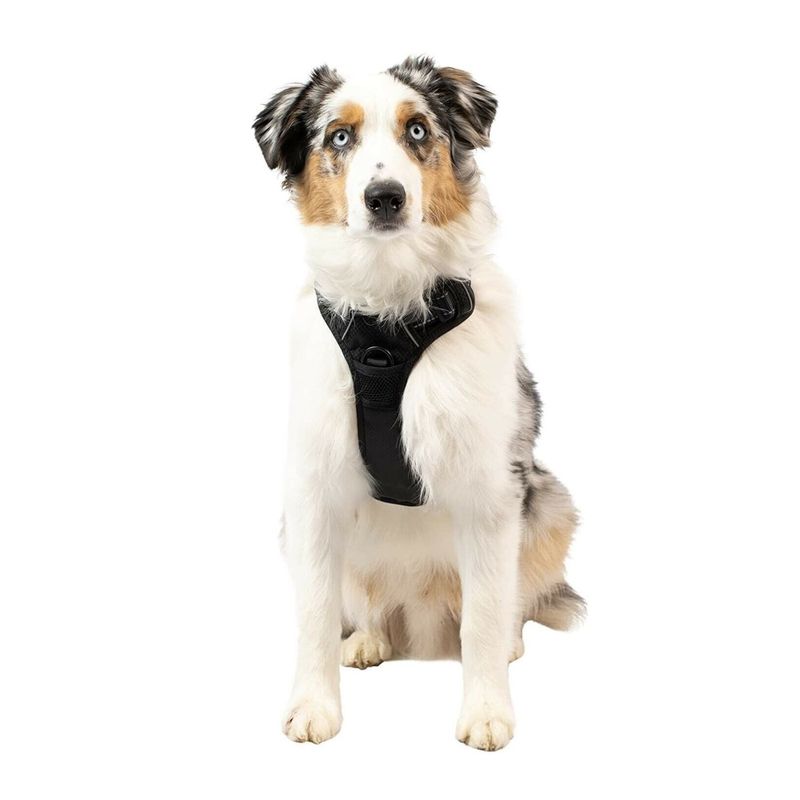 pechera-para-perro-petcrafts-talla-m-negra-847388087373