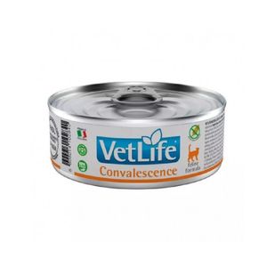 Comida Medicada Para Gato Vet Life Convalescence 85 Gr