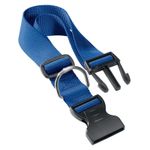 collar-de-nylon-para-perros-ferplast-club-c15-44-azul
