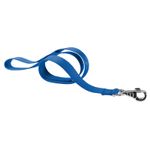 correa-de-nylon-para-perros-ferplast-club-lead-g10-120-azul