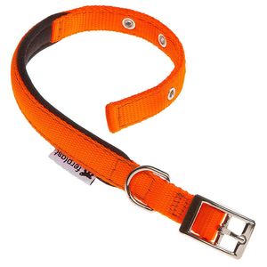 Collar De Nylon Para Perros Ferplast Daytona Collar C15/35 Naranja