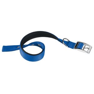 Collar De Nylon Para Perros Ferplast Daytona Collar C25/45 Azul