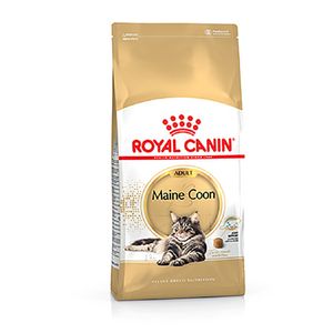 Comida Seca Para Gatos Royal Canin Maine Coon 4 Kg