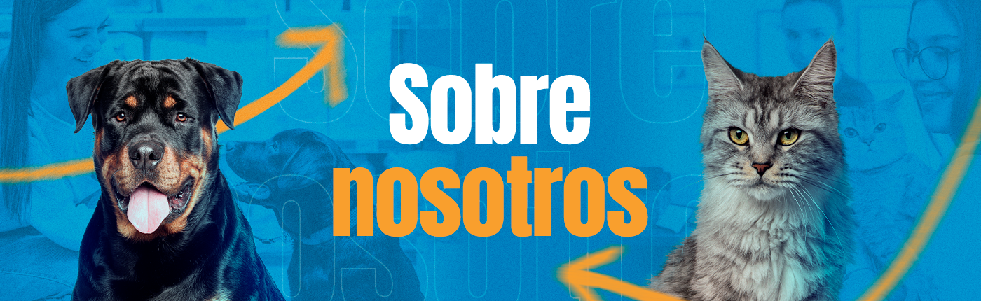 Marca 1